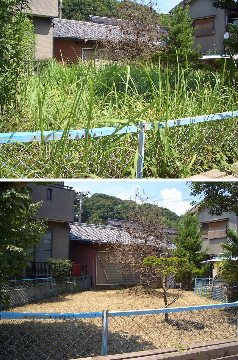 草刈りのご依頼 草刈りのご依頼